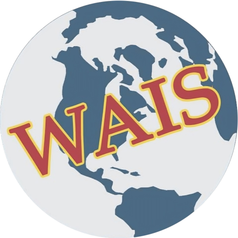 World Association of International Studies
